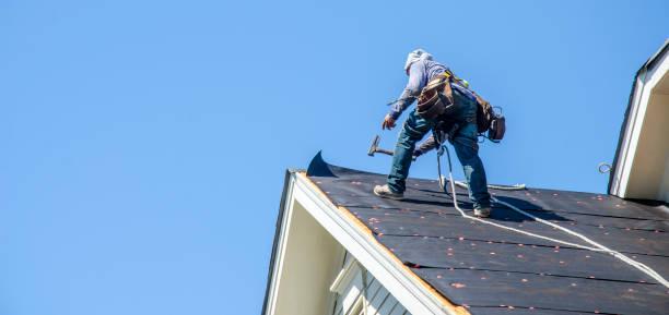 Best Storm Damage Roof Repair  in University Heights, IA